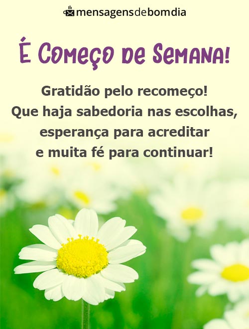 frases para iniciar a semana com energia
