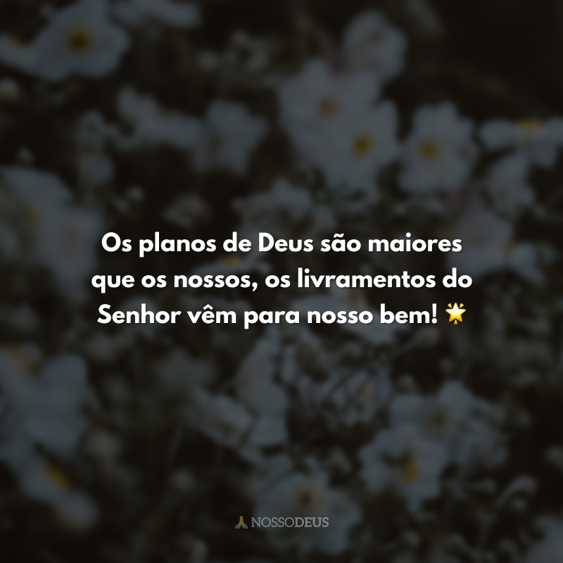reflexão sobre livramento e perdas