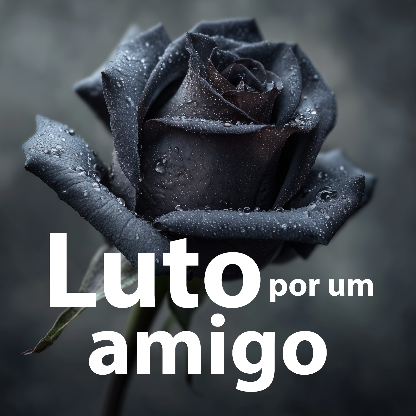 apoio a amigo em luto