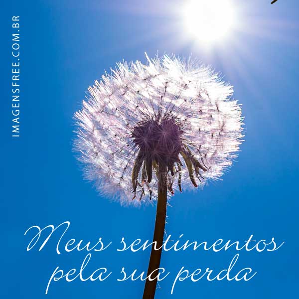 mensagens de solidariedade