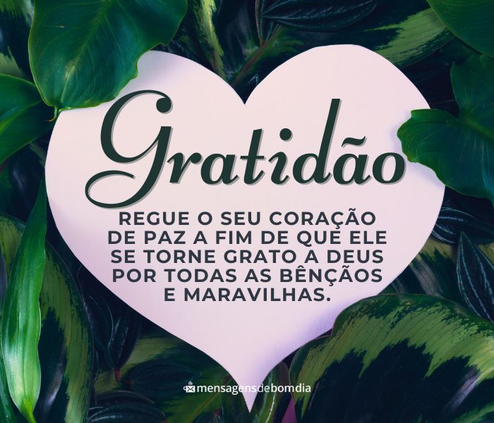 mensagens de bom dia com otimismo e gratidão