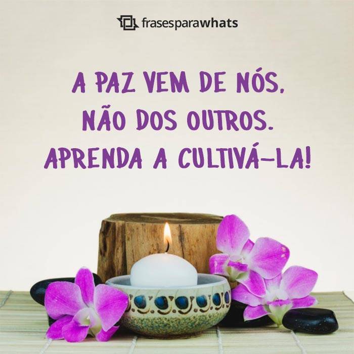 frases inspiradoras de paz para o dia a dia