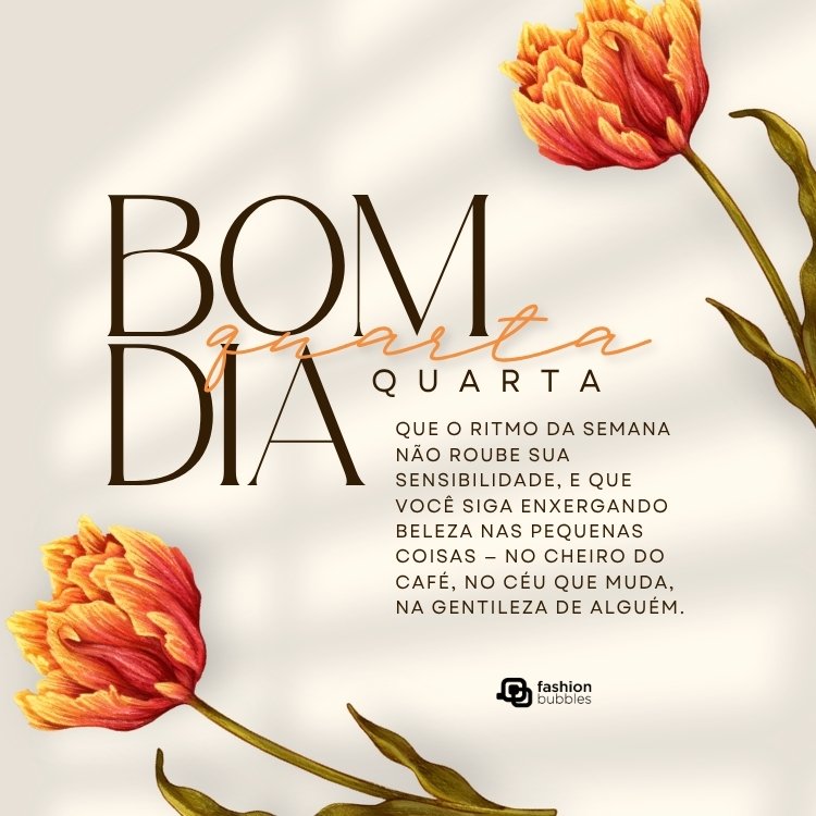 status de quarta