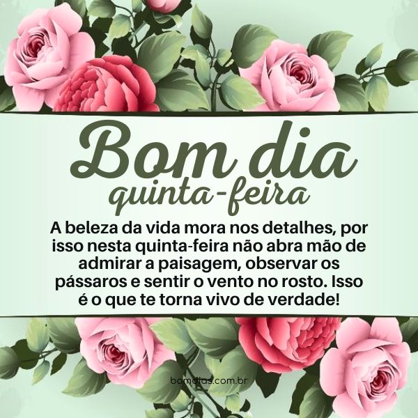 frases de quinta-feira