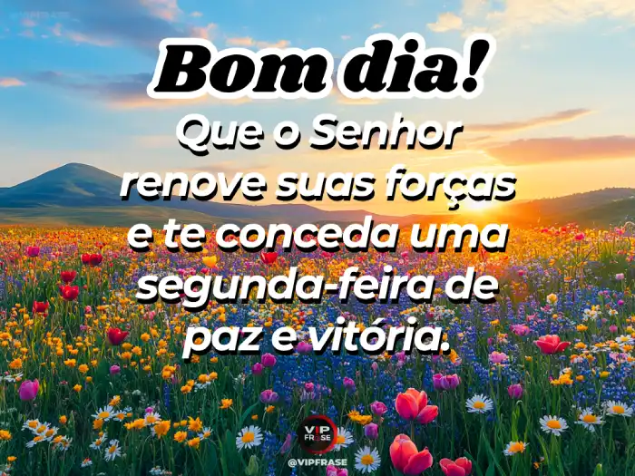 frases de segunda para o trabalho