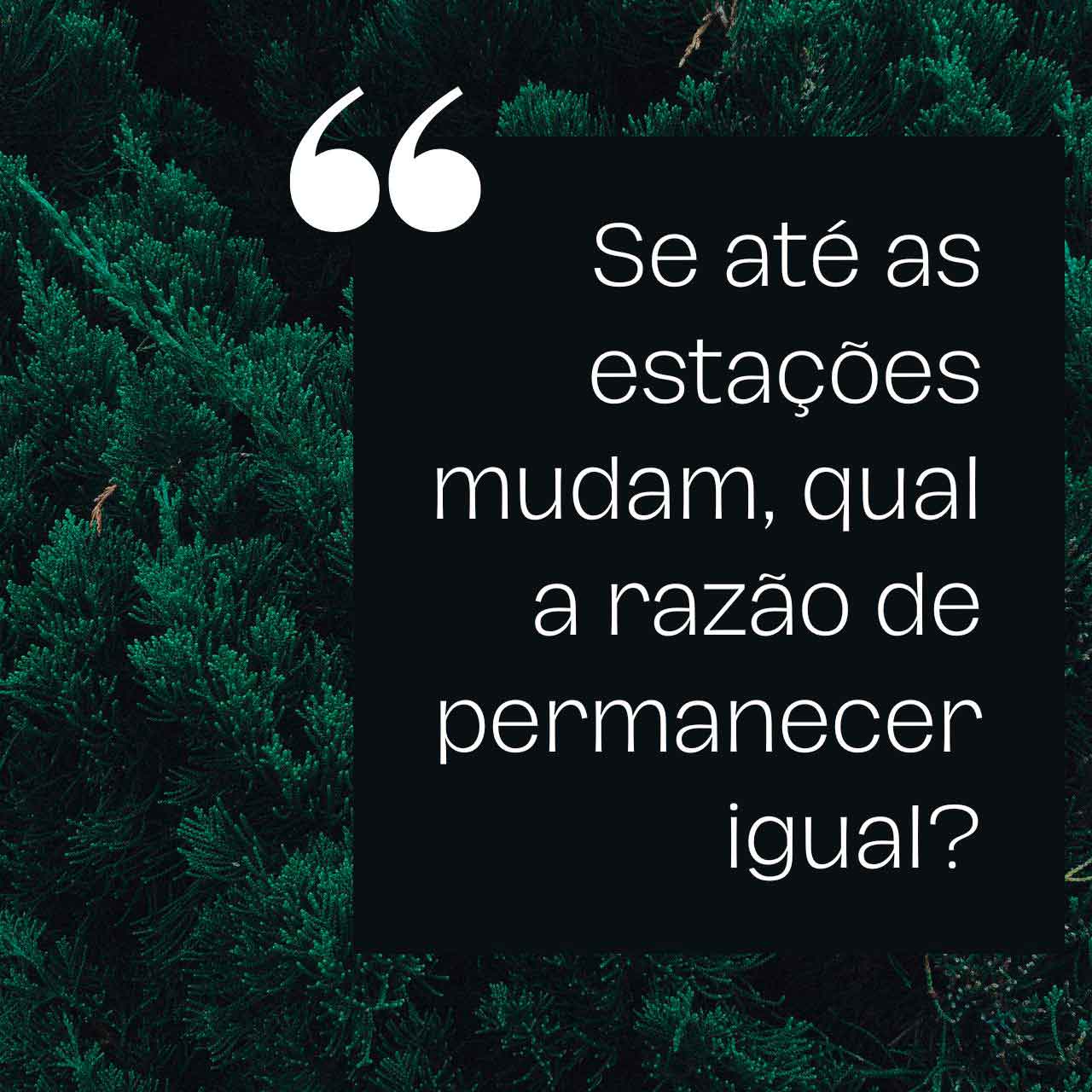 frases de reflexão