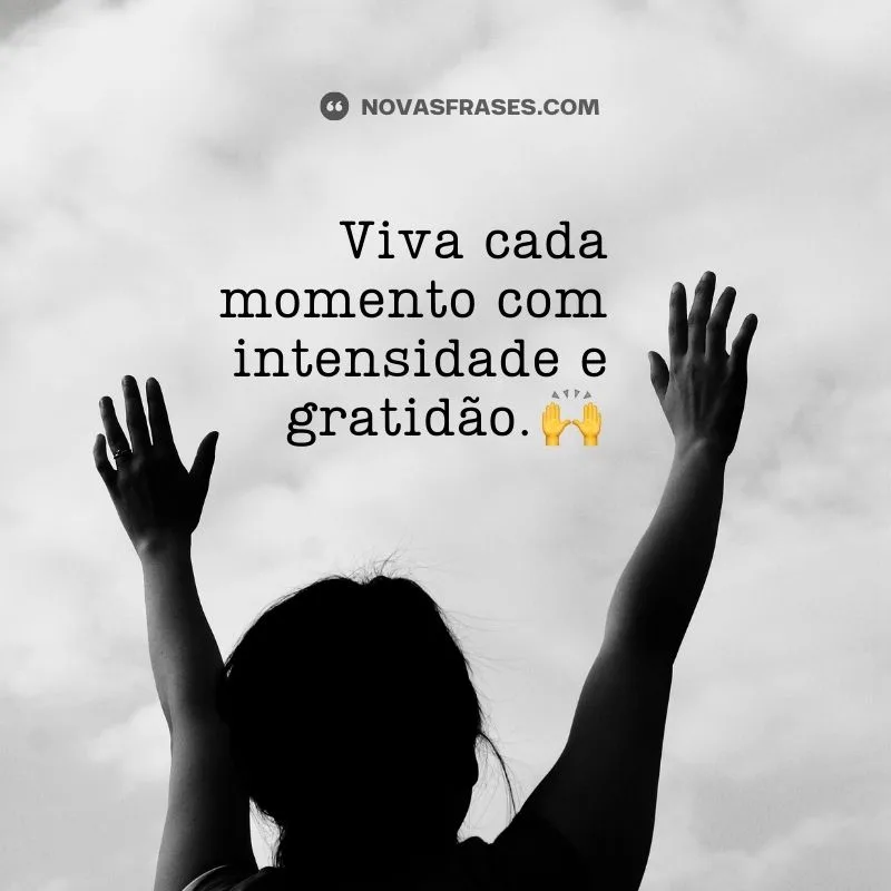 status curtos