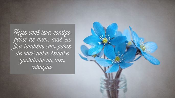 mensagens de agradecimento colega de trabalho