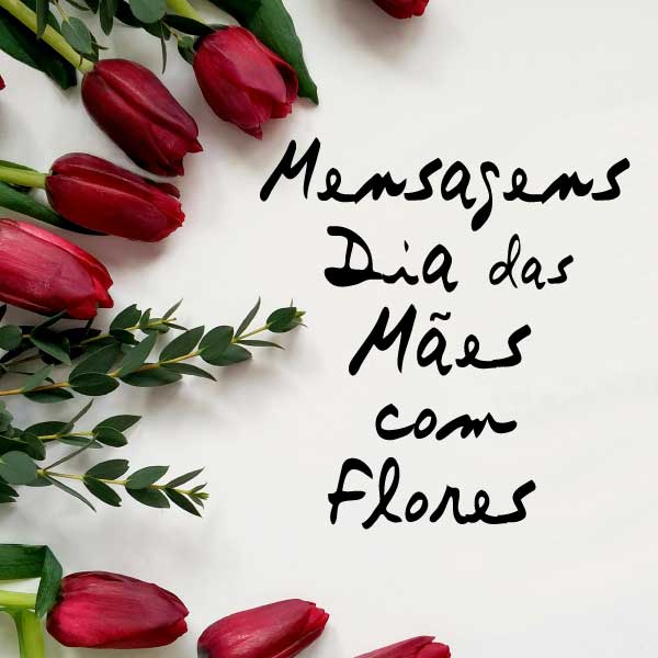 dia das mães mensagens para sogra
