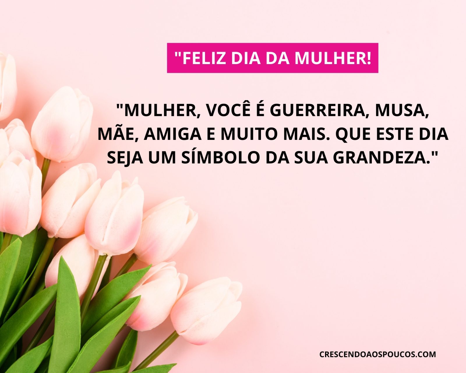mensagem do dia da mulher