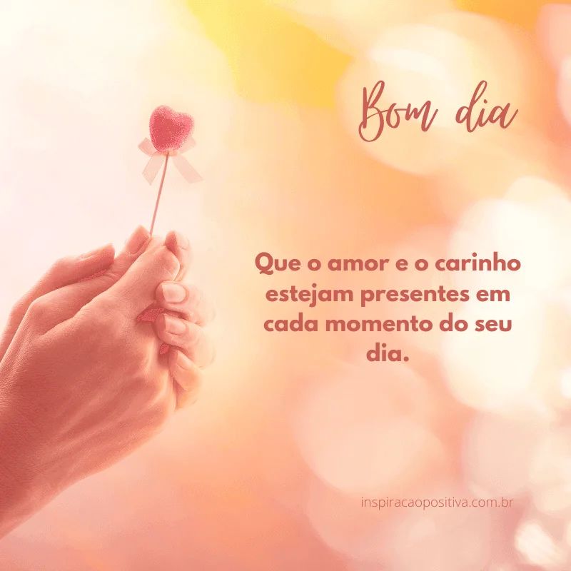 reflexão para o dia de hoje