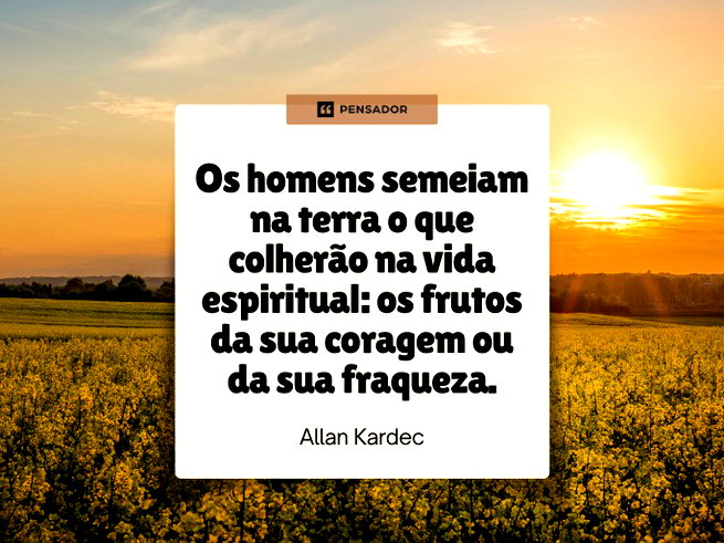 a lei de causa e efeito no espiritismo