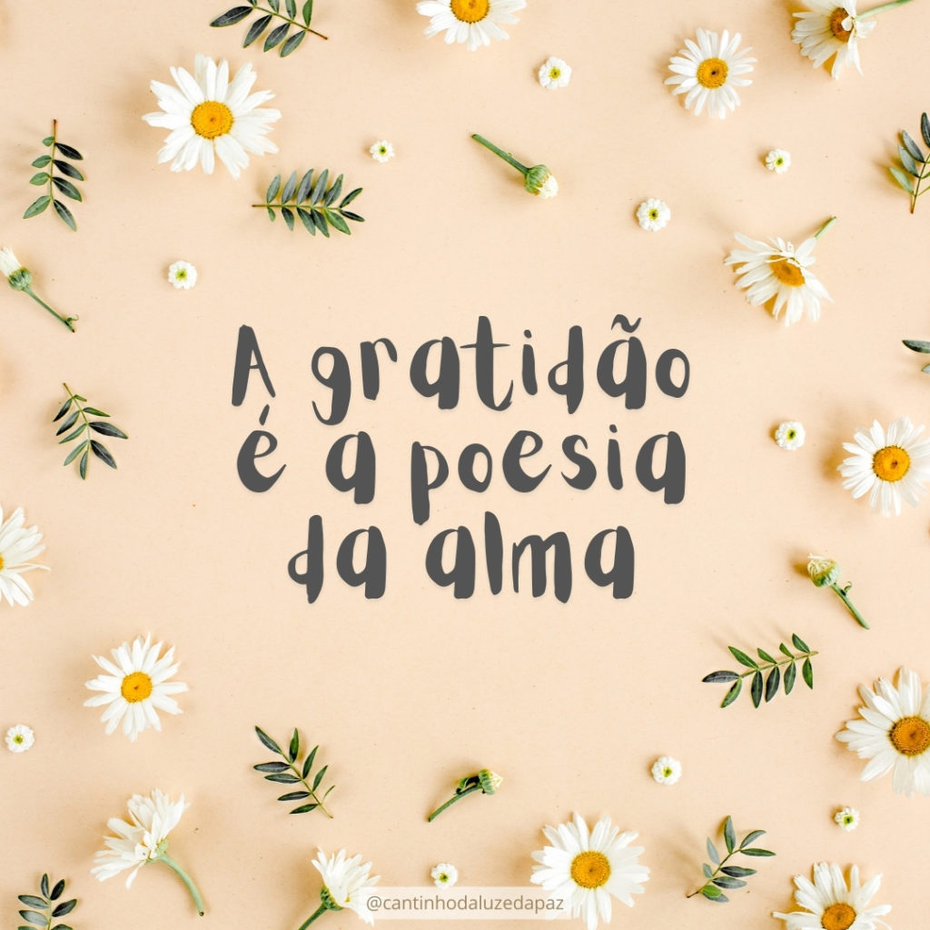 agradecer pela vida