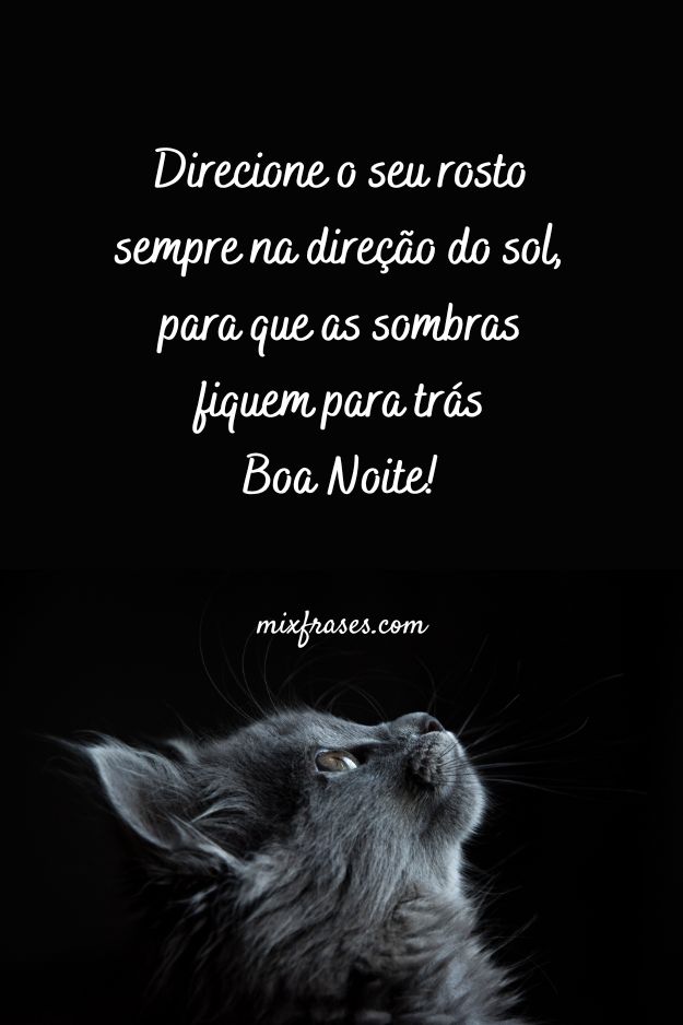 mensagem linda de boa noite para status