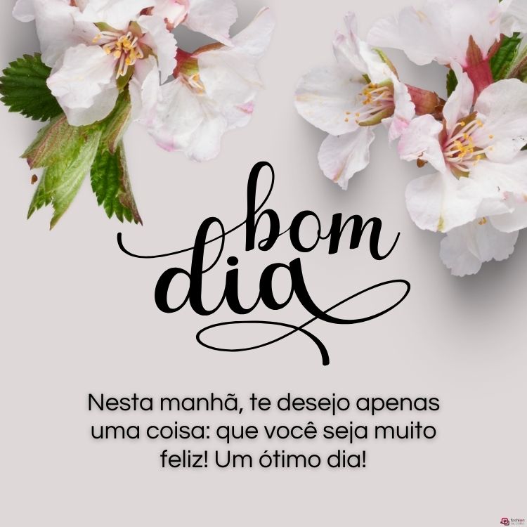 mensagens lindas de bom dia para inspirar