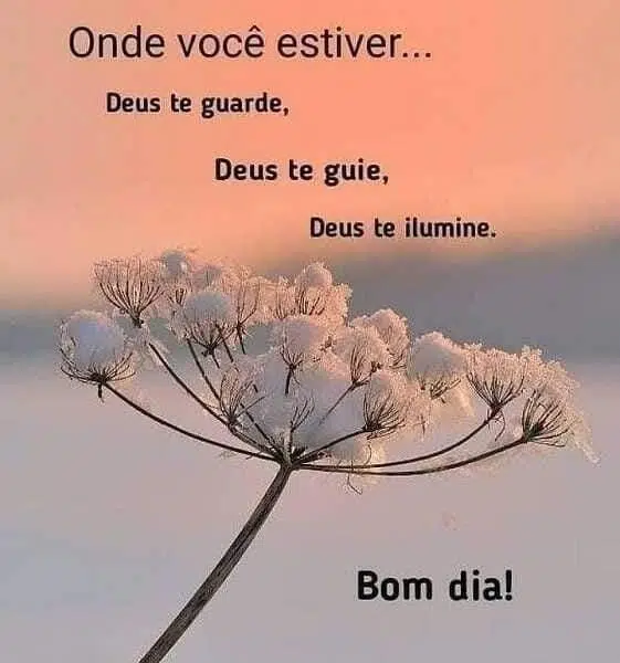 custo de enviar mensagem de bom dia em massa