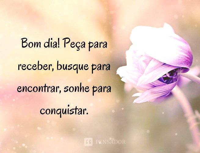 custo de enviar mensagem de bom dia em massa