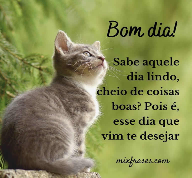 bom dia com versículos bíblicos