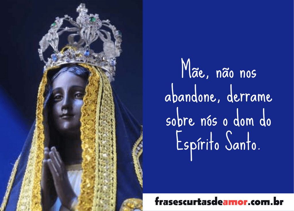 textos religiosos sobre Nossa Senhora Aparecida
