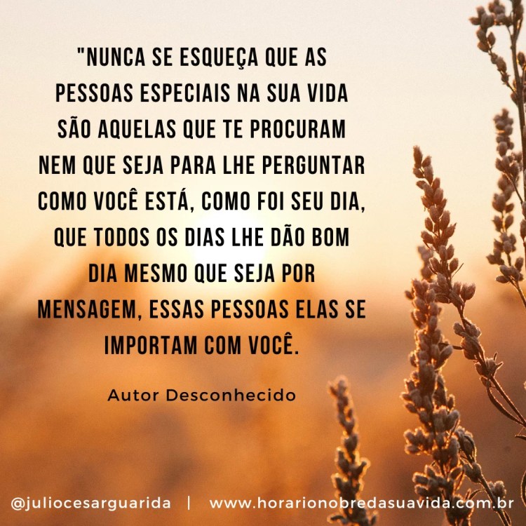 pensamentos para meditar