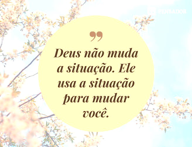 frases para status do zap