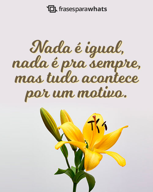 erros comuns ao buscar motivação