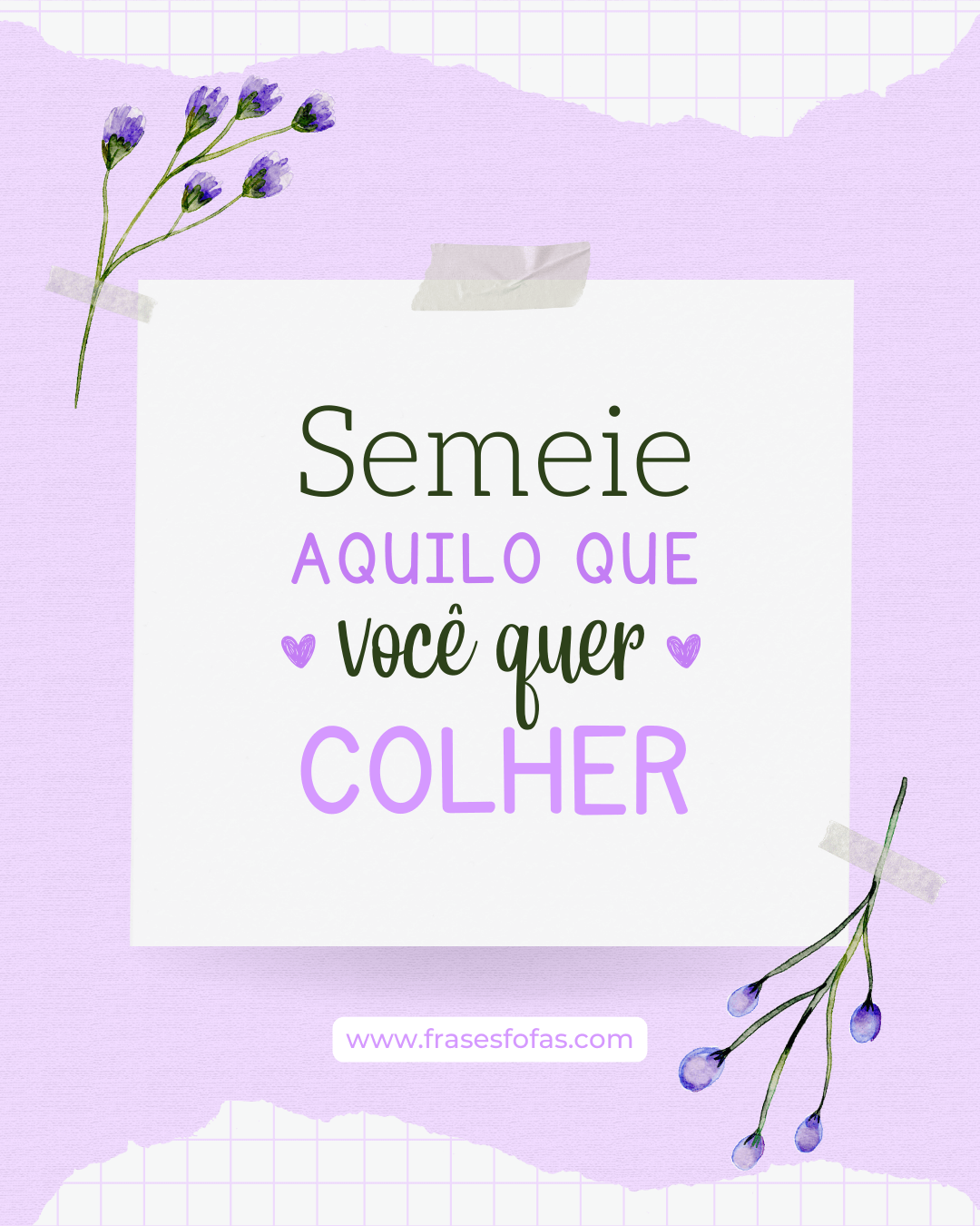 frases de reflexão sobre amizade