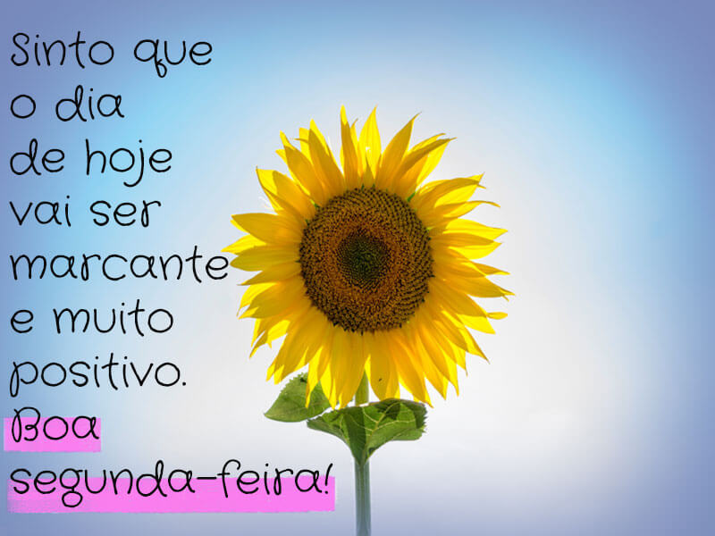 bom dia segunda-feira abençoada