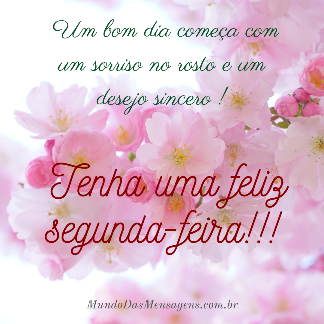status de bom dia segunda