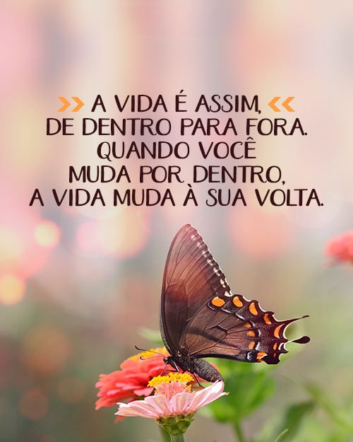 citações sobre gratidão e felicidade