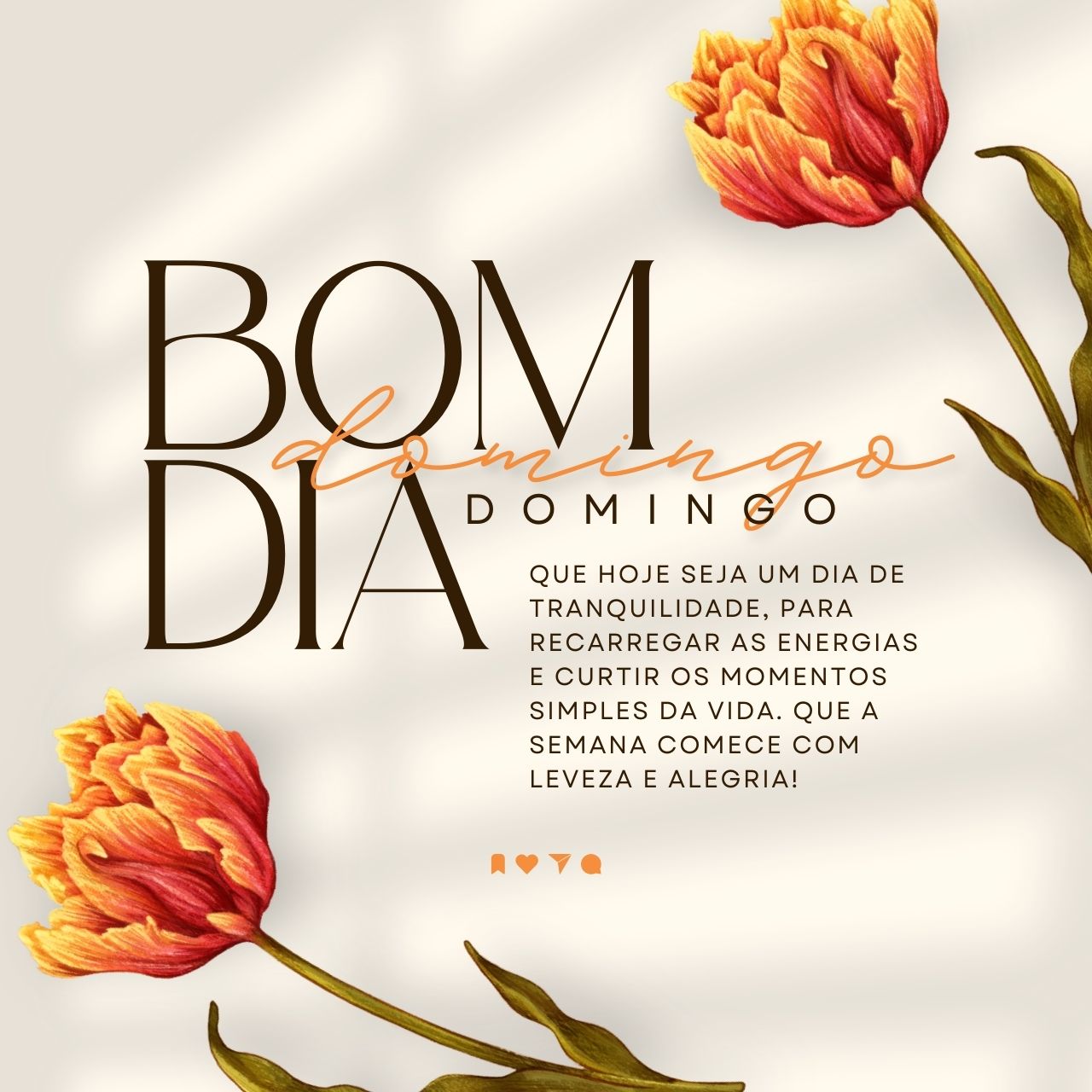 mensagens de bom dia domingo