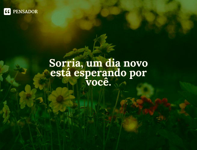 mensagens de bom dia para whatsapp com imagens lindas