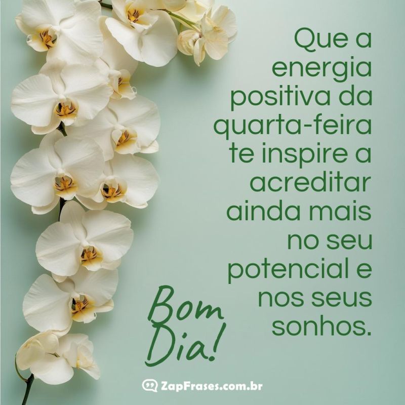 msg de bom dia quarta feira