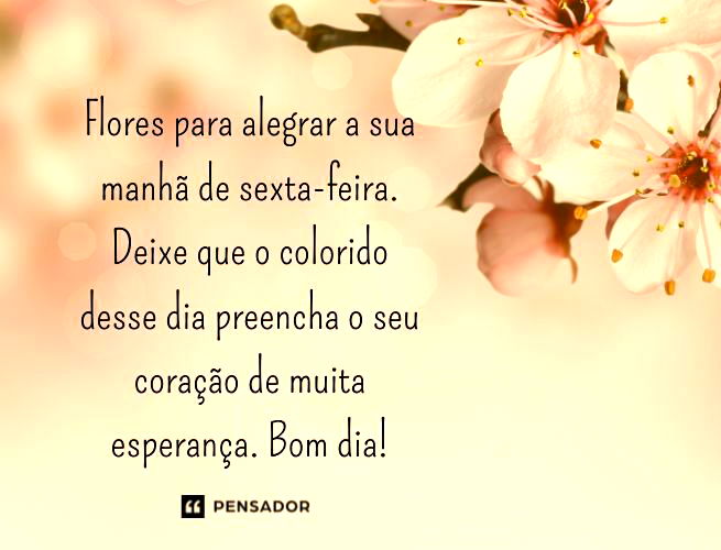 msg de bom dia sexta feira