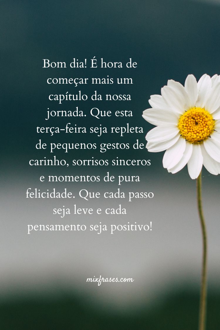 melhores mensagens bom dia terça feira para inspirar