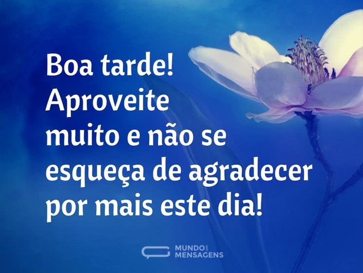 novas mensagem de boa tarde
