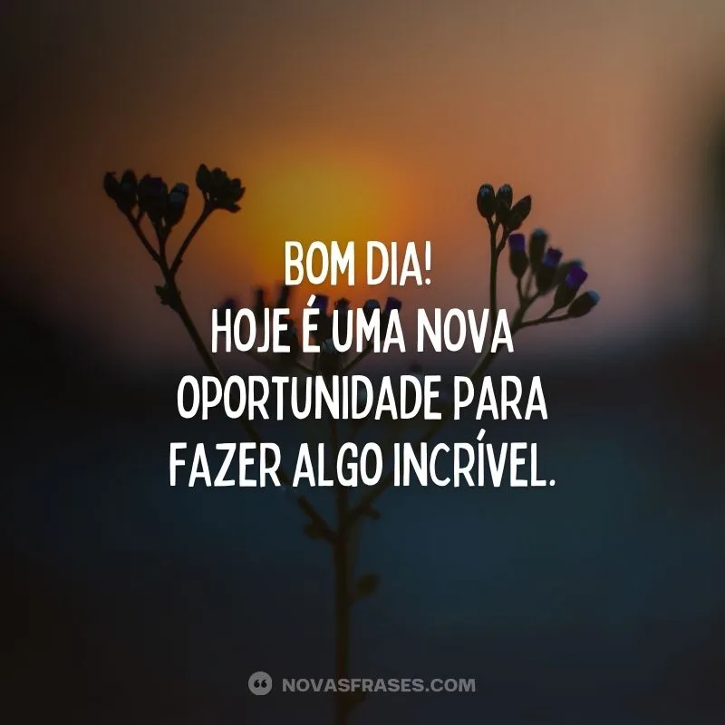 novas mensagem de bom dia