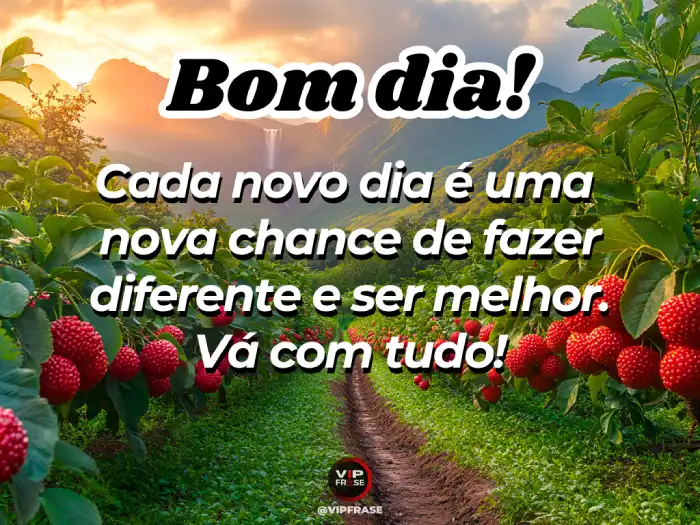 5 ideias de títulos para posts sobre mensagens de bom dia:
1. Bom Dia com Inspiração: Frases que Transformam seu Dia
2. Fé e Gratidão: Mensagens de Bom Dia para Fortalecer sua Alma
3. Amor em Palavras: Frases de Bom Dia Curtas e Carinhosas
4. Dicas de Ouro: Como Escolher a Mensagem de Bom Dia Perfeita
5. Bom Dia para Redes Sociais: Ideias Criativas para Status e WhatsApp