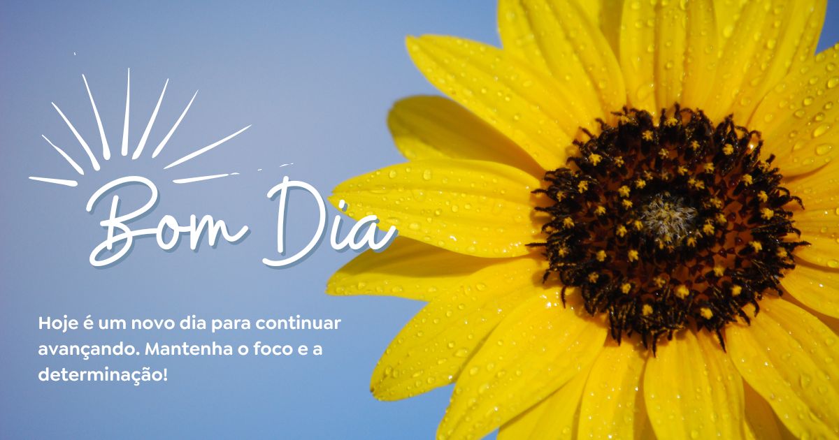 novas mensagens de bom dia para whatsapp