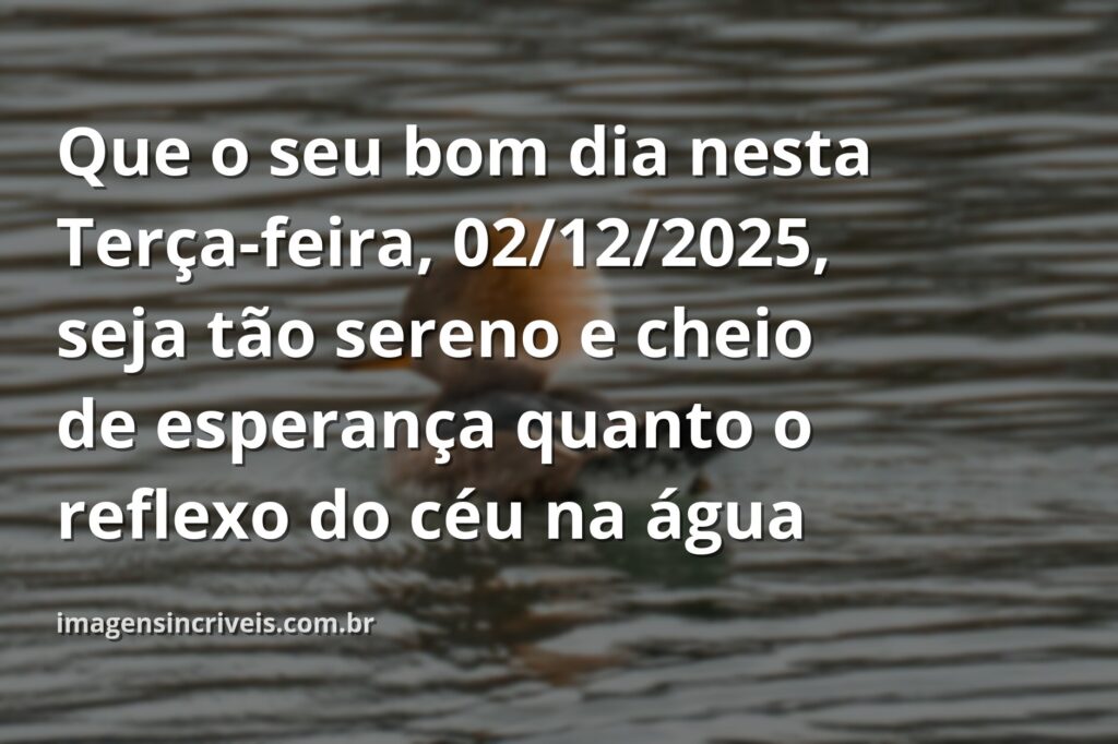 reflexão bom dia terça feira