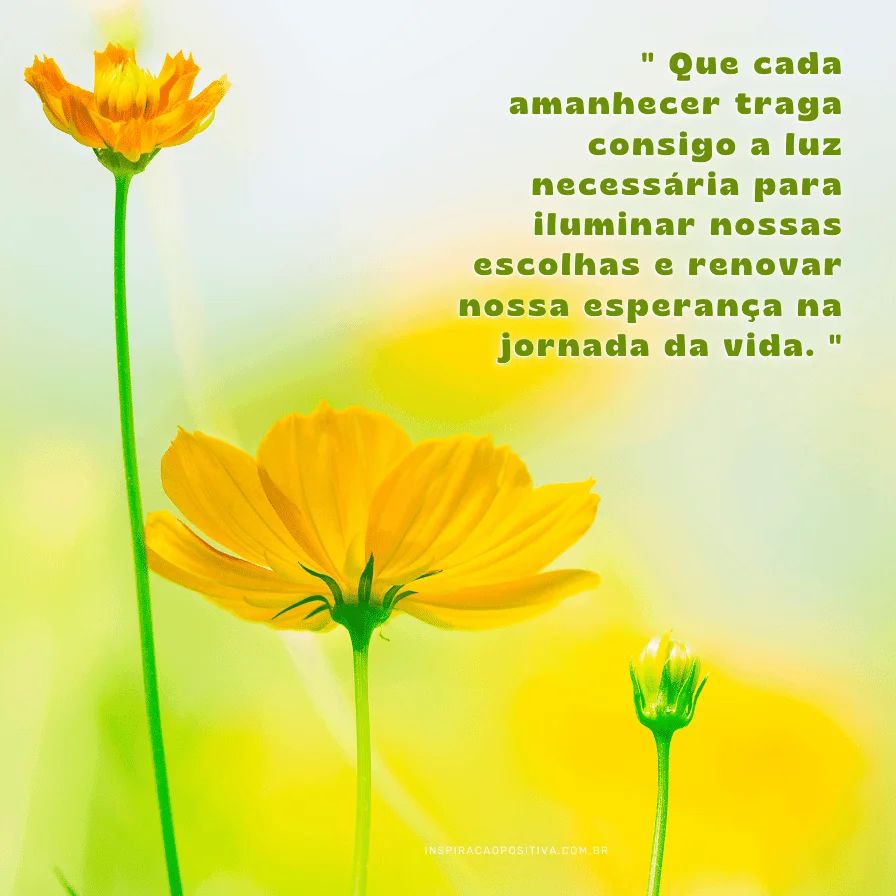 reflexão de bom dia sobre o poder do agora