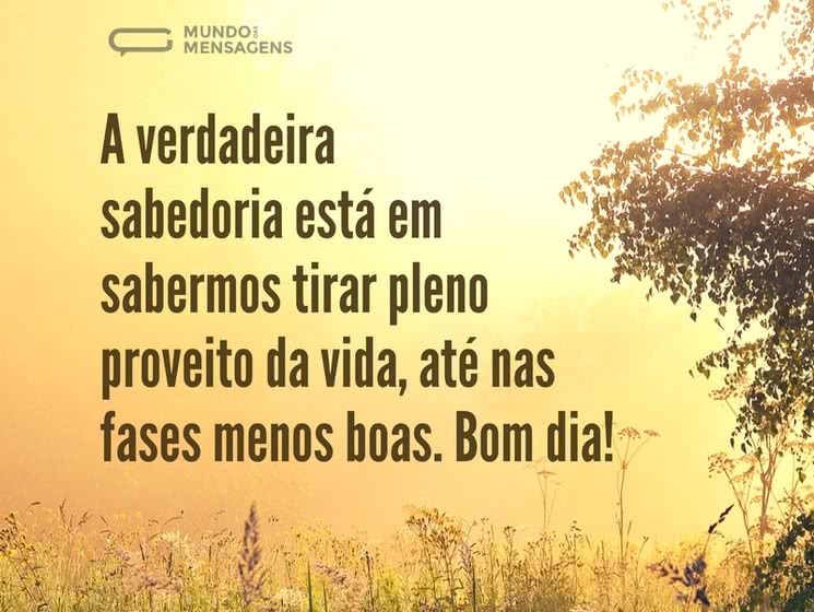 reflexão novas mensagens de bom dia