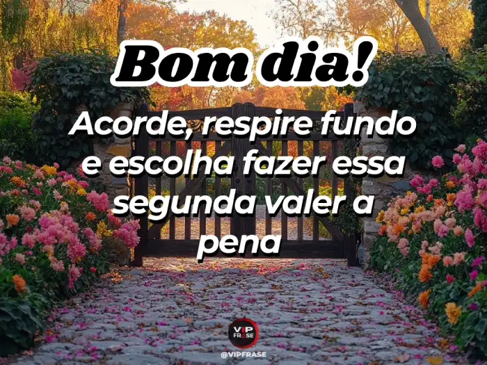 como a mentalidade positiva na segunda feira aumenta a produtividade