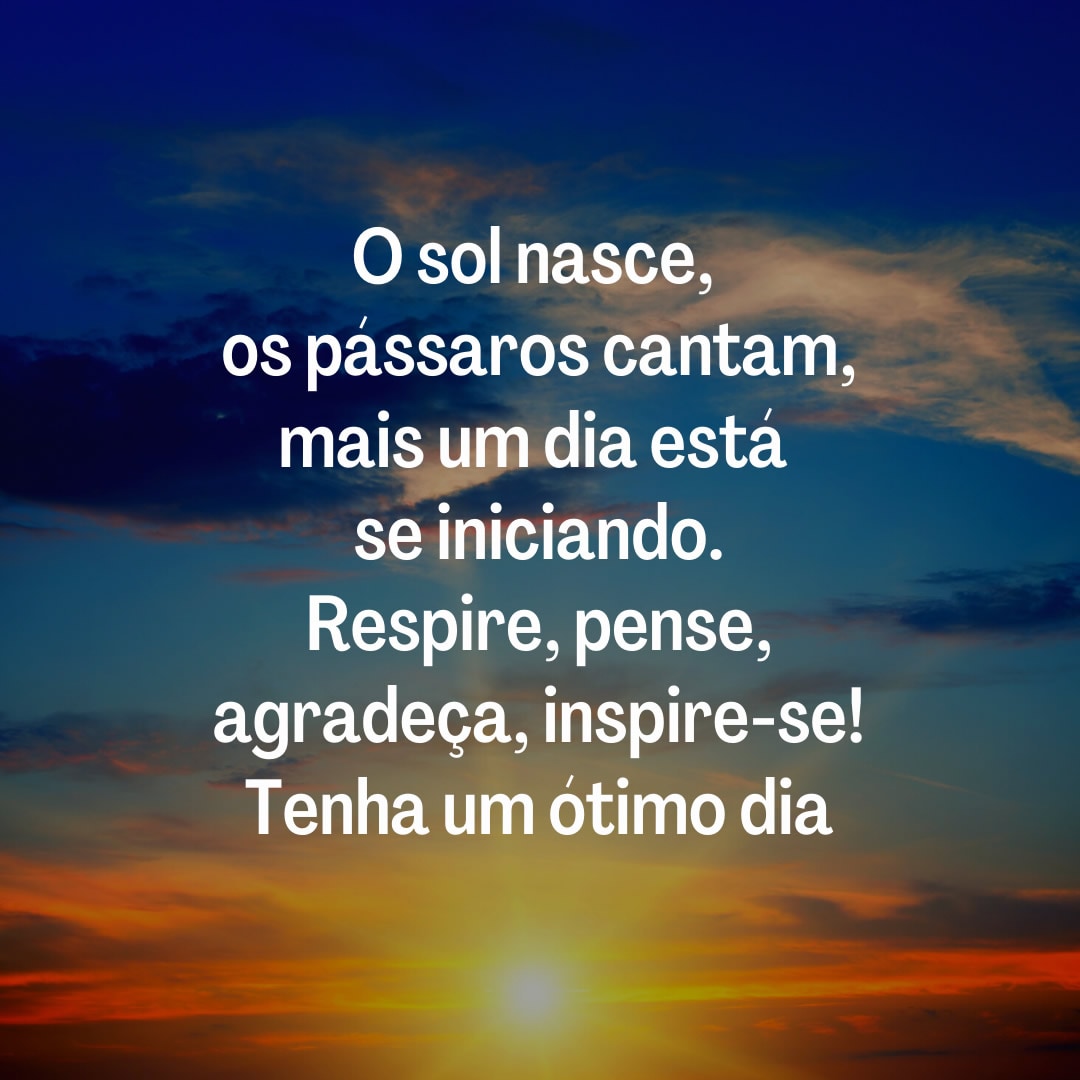 uma frase de bom dia