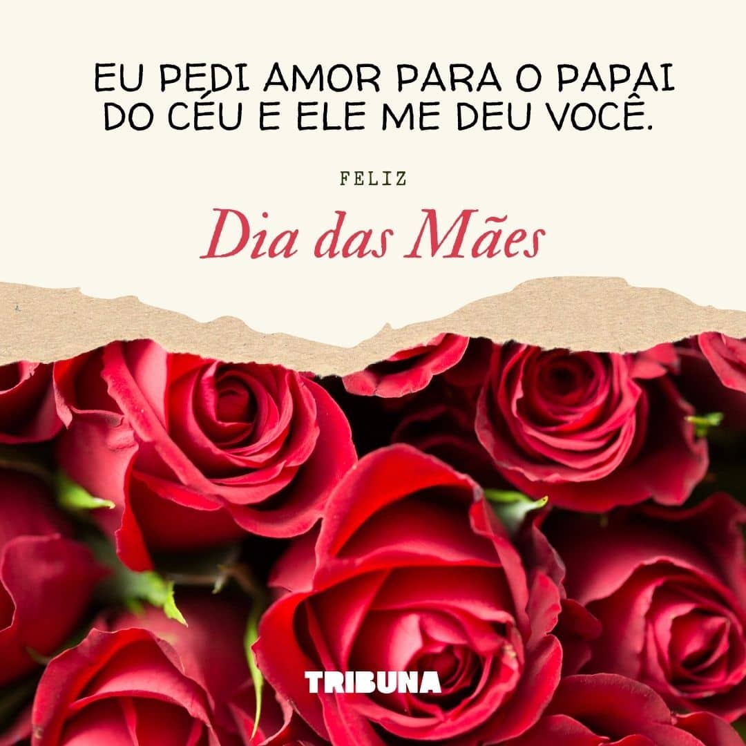 melhores mensagens dia das mães vs frases criativas