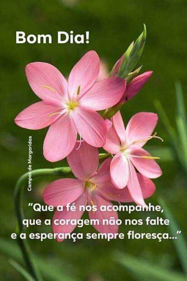 bom dia para pessoa querida