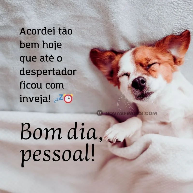 humor inteligente para começar o dia