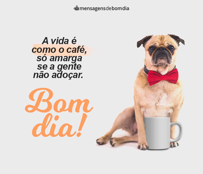 bom dia reflexão engraçada