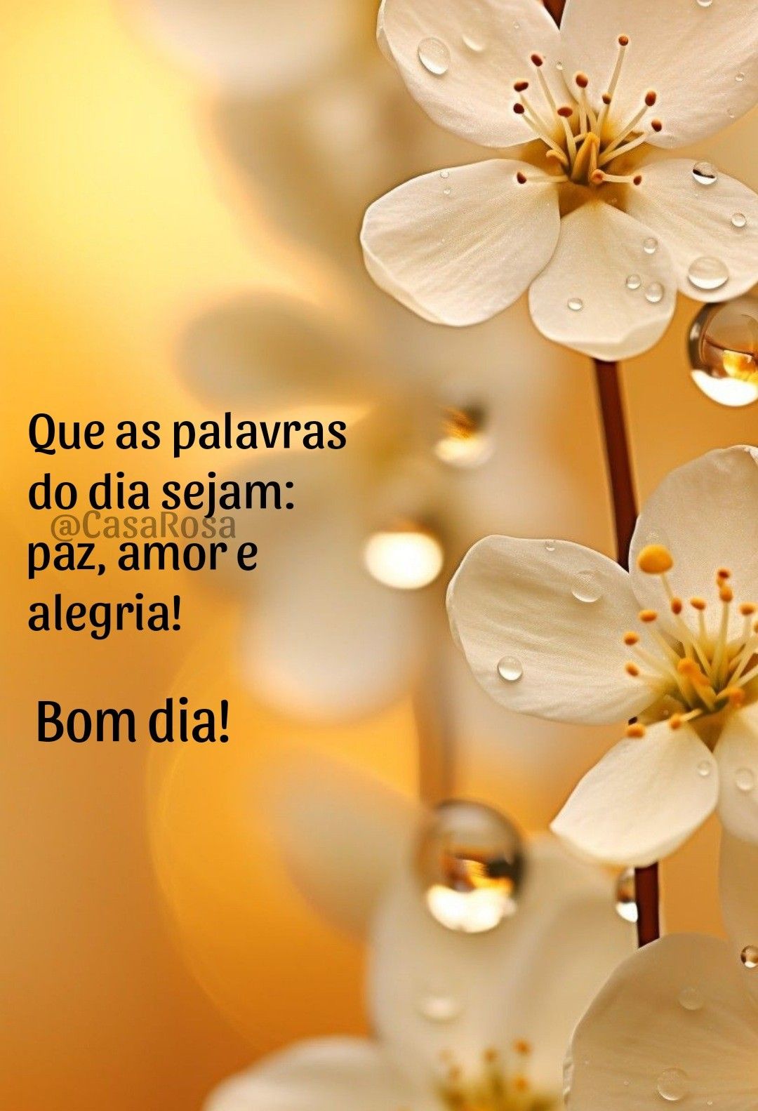 mensagem de bom dia especial