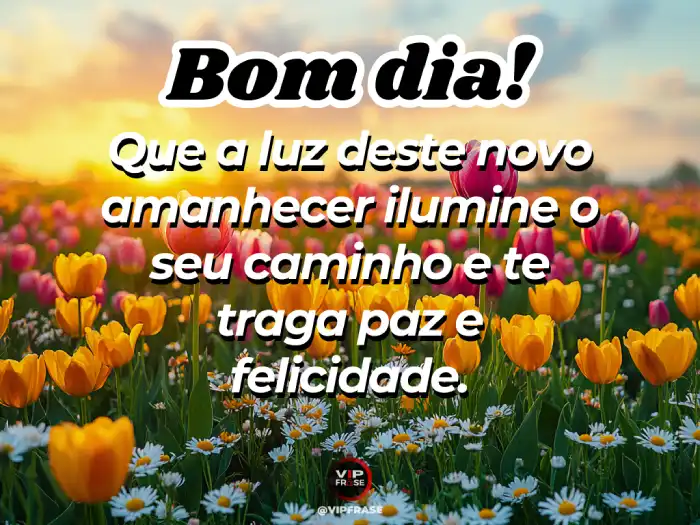 mensagens de bom dia para whatsapp